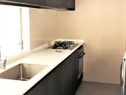 Thomson Impressions (D20), Apartment #553452721